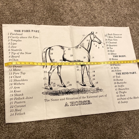 NWOT-Horse Canvas - Picture 3 of 4